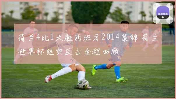 荷兰4比1大胜西班牙2014集锦 荷兰世界杯经典反击全程回顾