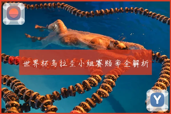 世界杯乌拉圭小组赛赔率全解析