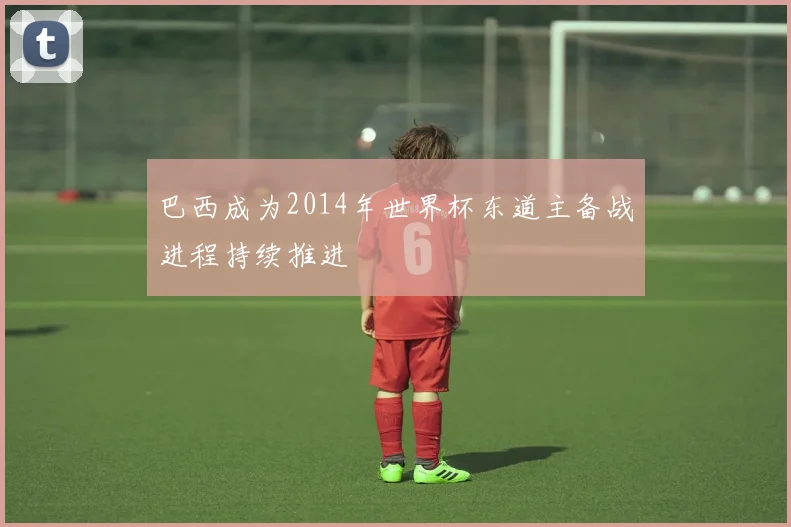 巴西成为2014年世界杯东道主备战进程持续推进
